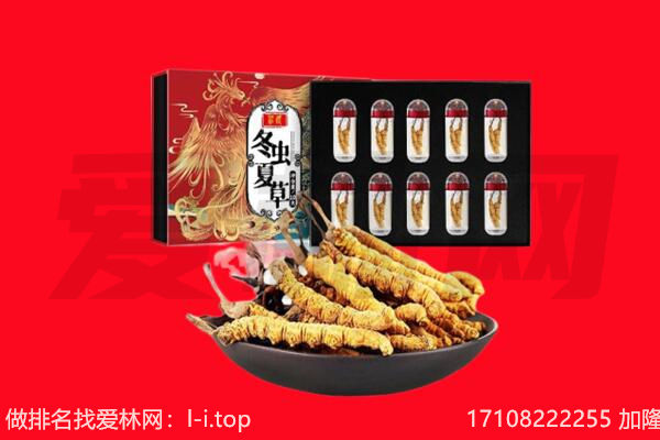 朔州回收虫草.jpg